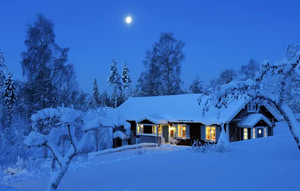 Картинка зима, лес, свет, снег, деревья, ночь, огни, луна, Швеция, Winter, Sweden, night, лом, Dalarna, Даларна