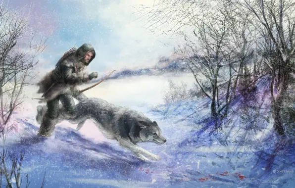 Картинка животное, волк, арт, охотник, зима. снег. деревья