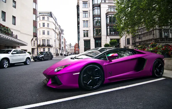 Картинка тюнинг, Lamborghini, суперкар, Purple, ламборджини, Aventador, авентадор, LP760-2