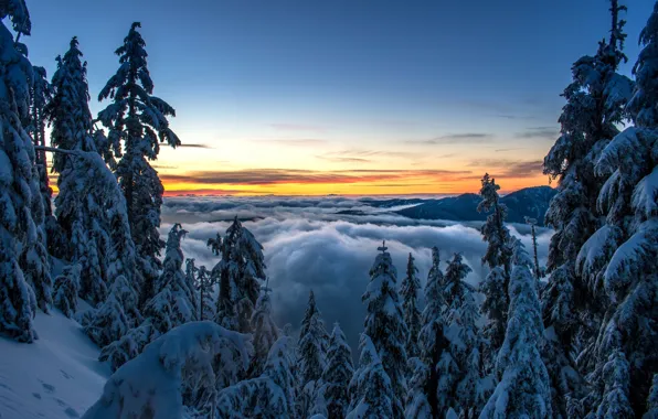 Картинка зима, лес, облака, снег, деревья, закат, горы, ели, Канада, Ванкувер, Canada, British Columbia, Vancouver, Британская …