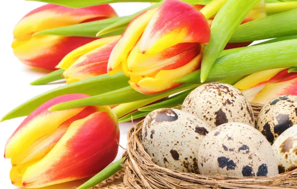 Картинка цветы, праздник, яйца, Пасха, гнездо, тюльпаны, red, yellow, flowers, tulips, Easter, eggs, holiday, bouquet, nest, …