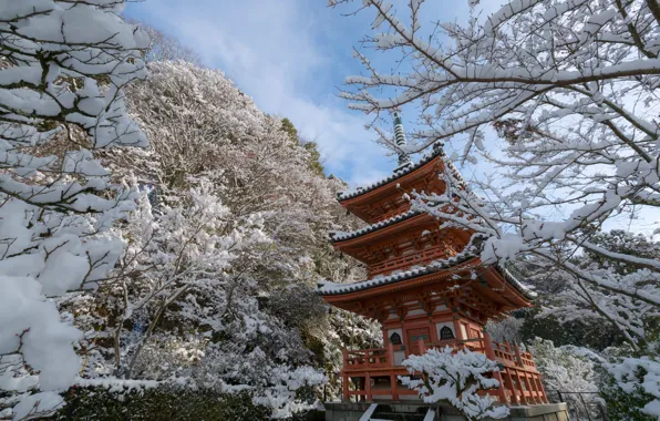 Картинка зима, снег, деревья, ветки, Япония, храм, пагода, Japan, Kyoto, Киото, Mimuroto-ji Temple