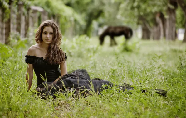 Картинка трава, девушка, деревья, природа, лошадь, брюнетка, сидит, позирует, в чёрном платье