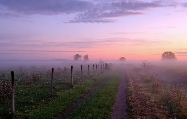 Картинка поле, небо, облака, деревья, туман, восход, рассвет, утро, ограда, дымка, Швеция, тропинка