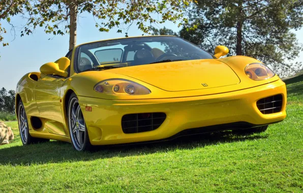 Картинка желтый, кабриолет, феррари, 360, yellow, спайдер, Spider, Ferrari 360
