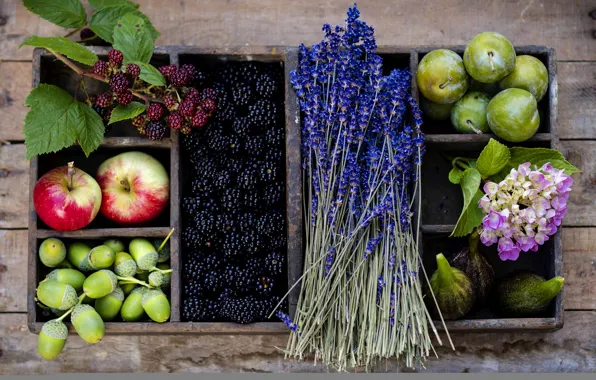 Картинка осень, цветы, ягоды, корзина, яблоки, фрукты, сливы, желуди, ежевика, лаванда