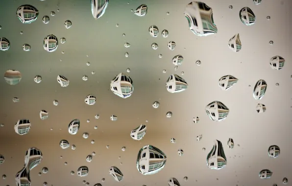 Картинка вода, капли, поверхность, отражение, после дождя, macro, Sony DSLR-A550