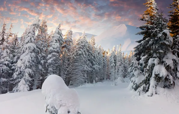 Картинка зима, лес, облака, снег, горы, сугробы, ёлки