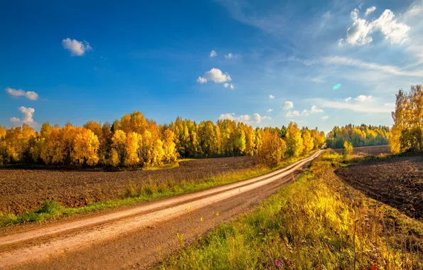 Картинка дорога, поле, осень, пейзаж, природа