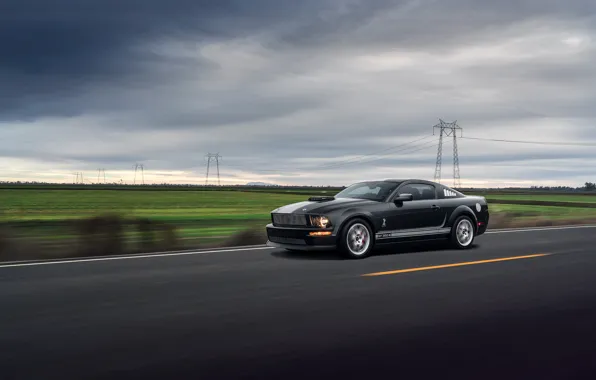Картинка Mustang, Ford, Muscle, Car, Speed, Front, Grey, Road, Collection, Aristo, GT 350