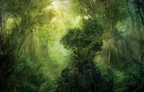 Картинка деревья, зеленый, скала, Лес