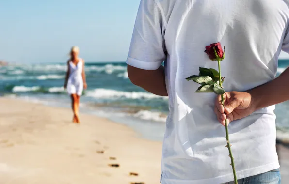Картинка песок, море, пляж, любовь, пара, love, rose, happy, people, romantic, couple