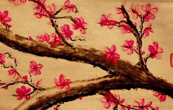 Картинка цветы, ветки, дерево, рисунок, сакура
