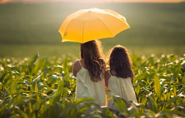 Картинка поле, девочки, зонт, кукуруза, девочка, сёстры