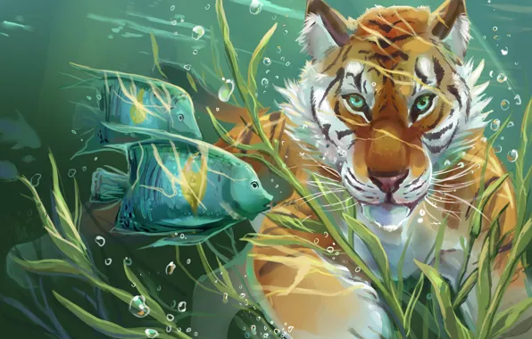Картинка вода, рыбы, тигр, арт, art