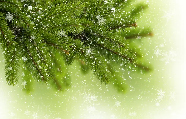 Картинка зима, зелень, снежинки, дерево, елка, ель, ветка, ёлка