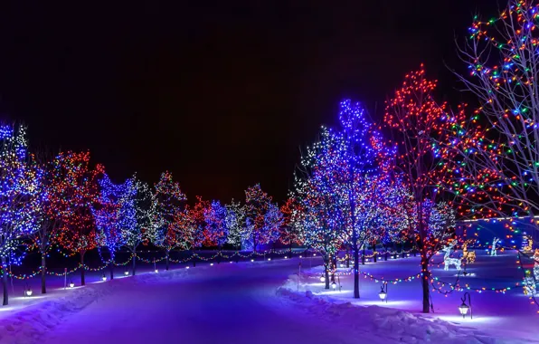 Картинка зима, дорога, снег, деревья, ночь, город, парк, праздник, Новый Год, иллюминация