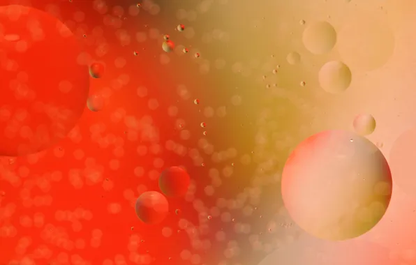 Картинка вода, пузырьки, цвет, масло, жидкость, шарик, воздух, объем