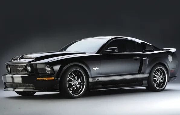 Картинка Mustang, Ford, мустанг, форд, 2009, Black Widow