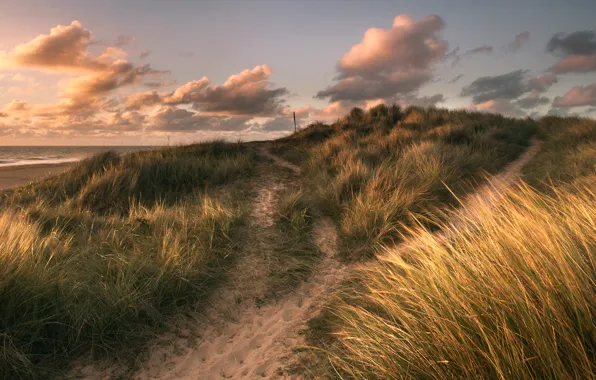 Картинка песок, море, трава, облака, берег, обработка, Winterton Light