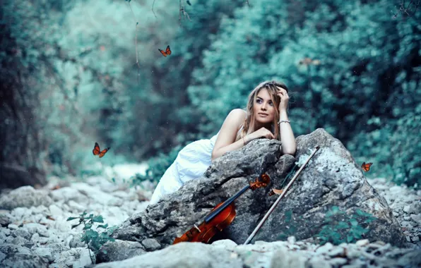 Картинка девушка, скрипка, смычок, Butterflies, Alessandro Di Cicco