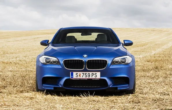 Картинка поле, синий, BMW, передок