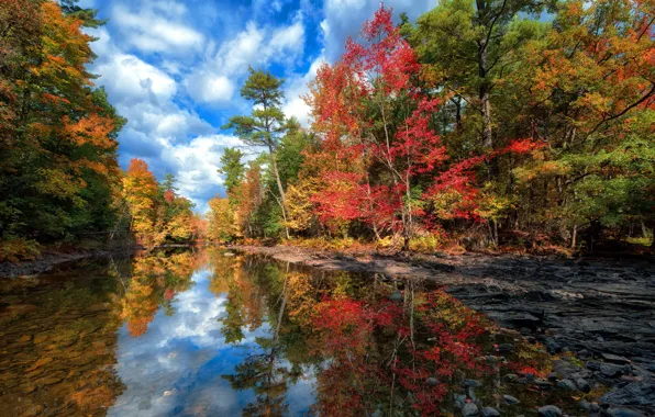 Картинка осень, лес, небо, вода, облака, деревья, пейзаж, озеро, отражение