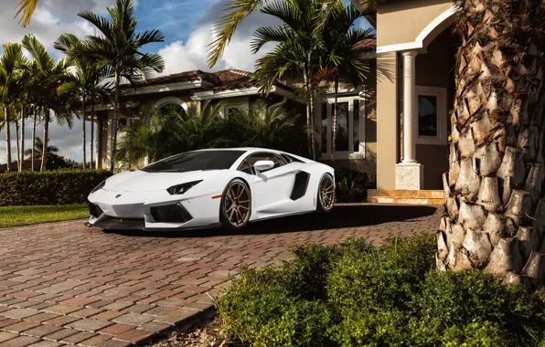 Картинка белый, пальмы, Lamborghini, перед, white, особняк, ламборджини, front, LP700-4, Aventador, ламборгини, авентадор