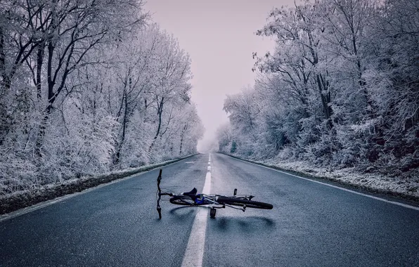 Картинка зима, лес, снег, деревья, велосипед, туман, шоссе, лежит, на дороге