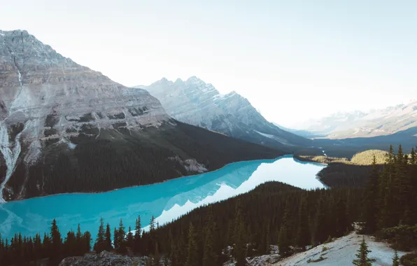 Картинка горы, озеро, лапа, Канада, леса