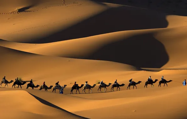 Картинка природа, пустыня, пески, верблюды, караван, Сахара, Марокко