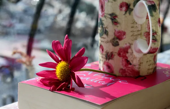 Картинка цветок, лепестки, кружка, чашка, книга, розовые