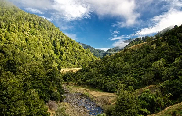 Картинка лес, небо, облака, деревья, горы, ручей, камни, Новая Зеландия