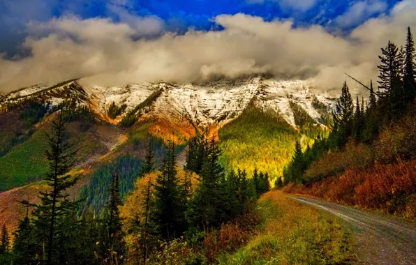 Картинка дорога, осень, лес, небо, листья, облака, снег, деревья, горы, природа, парк, colors, colorful, forest, road, …