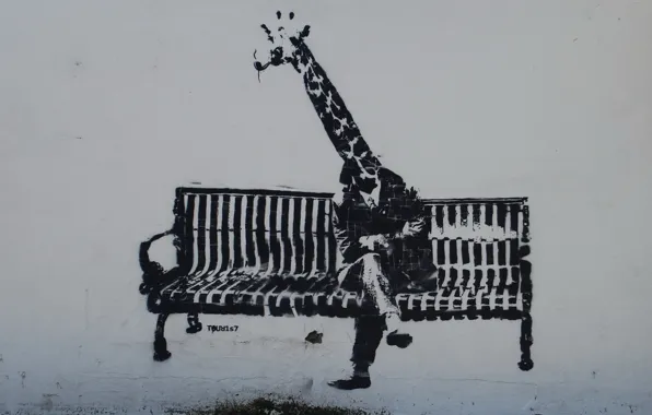 Картинка скамейка, стена, граффити, человек, жираф