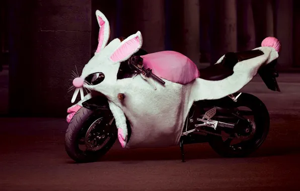 Картинка юмор, кролик, мотоцикл, Костюм