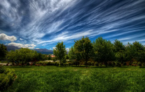 Картинка зелень, небо, трава, облака, деревья, пейзаж, природа, green, растения, grass, sky, landscape, nature, clouds, tree