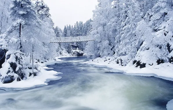 Картинка зима, иней, снег, деревья, мост, река