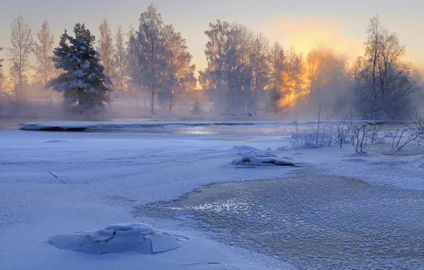 Картинка зима, снег, деревья, природа, река, восход, утро, Швеция, Sweden, Voxnan River, Hälsingland