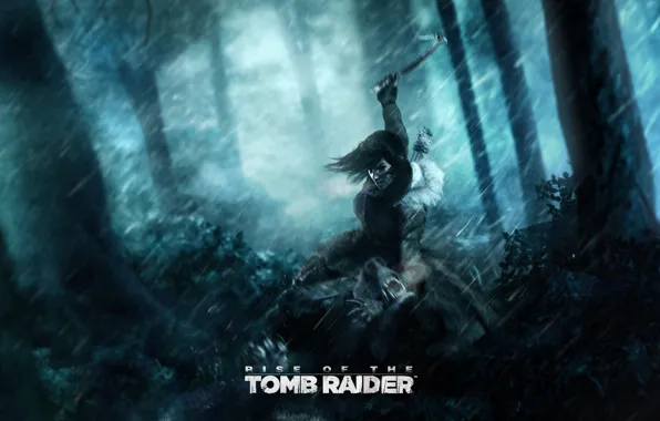 Картинка лес, деревья, дождь, медведь, Tomb Raider, lara croft, кусты, ледоруб, Rise of the Tomb Raider