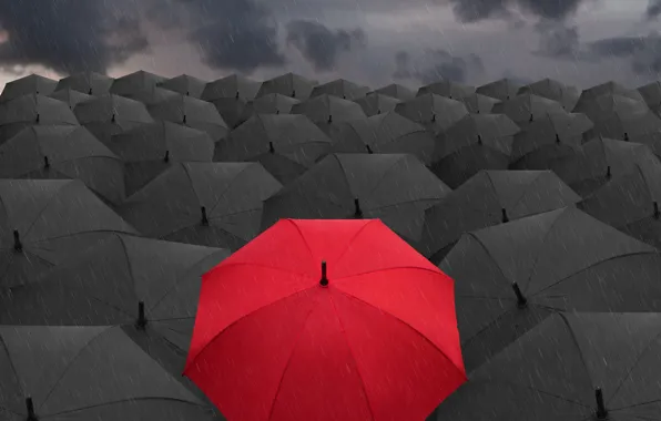 Картинка зонтики, red, black, umbrella