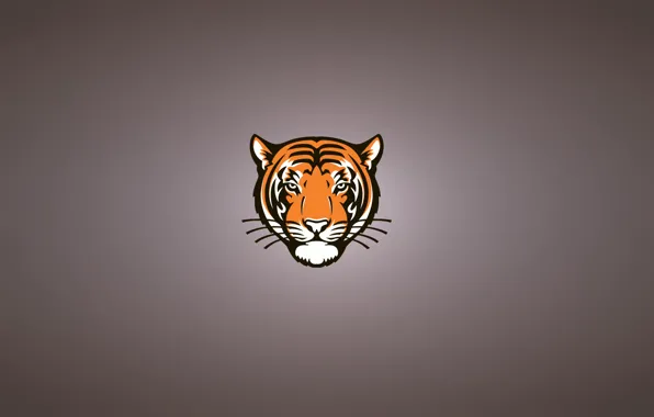 Картинка морда, тигр, минимализм, голова, серьезный, tiger, усатый