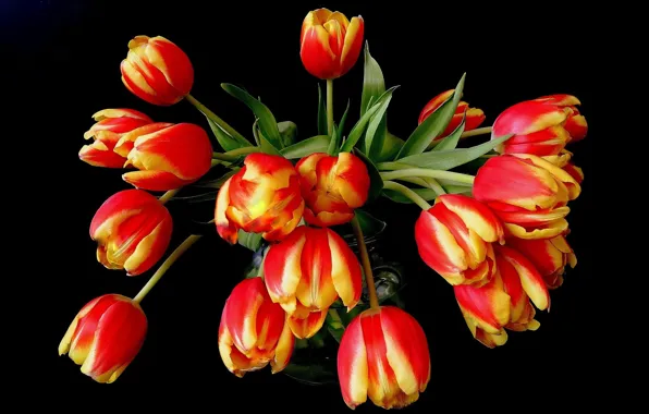 Картинка цветы, оранжевый, желтый, красный, букет, тюльпаны, ваза, черный фон
