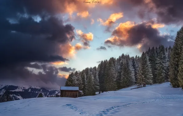Картинка зима, лес, небо, облака, снег, горы, Альпы, домик