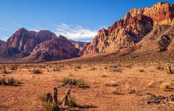 Картинка USA, sky, desert, mountains, rocks, Nevada, sunny, dry, Red Rock Canyon