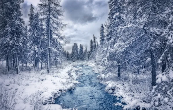 Картинка зима, лес, снег, деревья, река, Канада, Canada, Quebec, Квебек