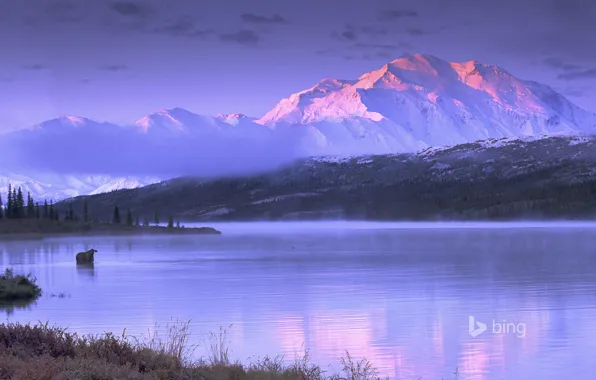 Картинка небо, горы, озеро, Аляска, США, лось, Wonder Lake