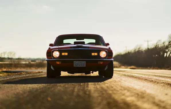 Картинка Mustang, Ford, Форд, Мустанг, Mach 1, Muscle Car