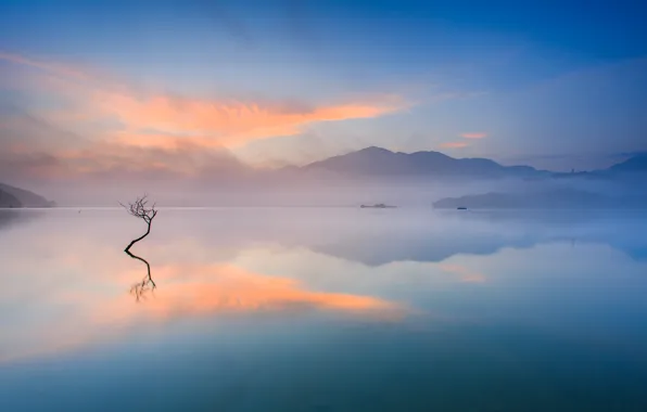 Картинка горы, туман, озеро, дерево, утро, пар