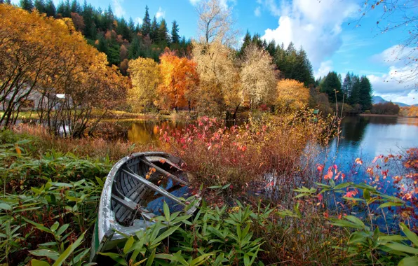 Картинка осень, лес, небо, деревья, цветы, озеро, река, лодка, домик